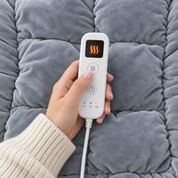 Temperature controller